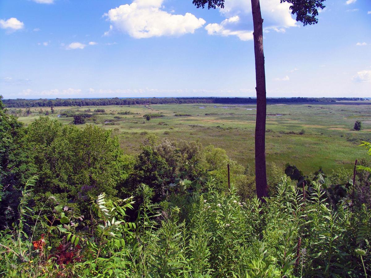 Willa Long Point Eco-Adventures Normandale Zewnętrze zdjęcie